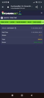 Screenshot_2024-02-11-08-29-49-295_com.android.chrome.jpg