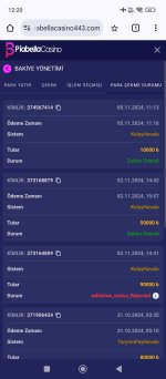 Screenshot_2024-11-05-12-20-11-239_com.android.chrome.jpg