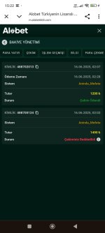 Screenshot_2025-06-17-15-22-24-461_com.android.chrome.jpg